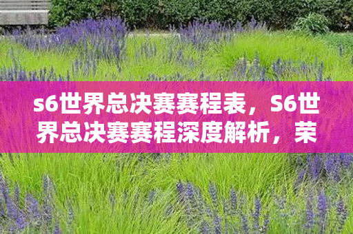 s6世界总决赛赛程表，S6世界总决赛赛程深度解析，荣耀与梦想的碰撞