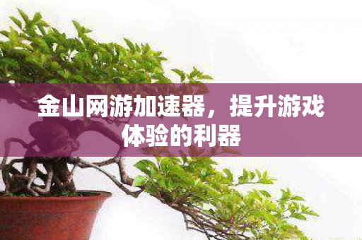 金山网游加速器，提升游戏体验的利器