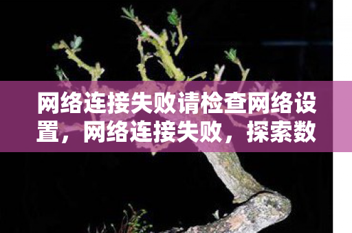 网络连接失败请检查网络设置，网络连接失败，探索数字时代的通信挑战与机遇