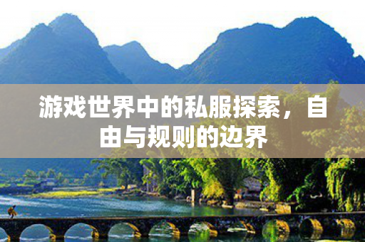 游戏世界中的私服探索，自由与规则的边界