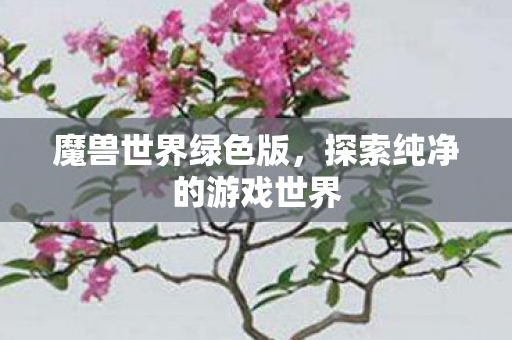 魔兽世界绿色版，探索纯净的游戏世界