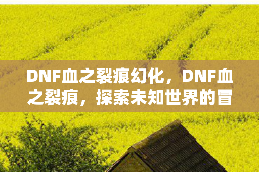 DNF血之裂痕幻化，DNF血之裂痕，探索未知世界的冒险之旅