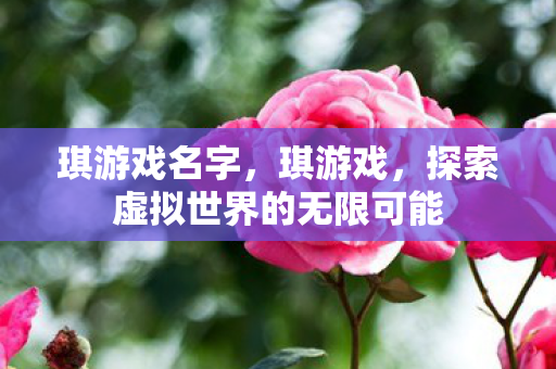 琪游戏名字，琪游戏，探索虚拟世界的无限可能