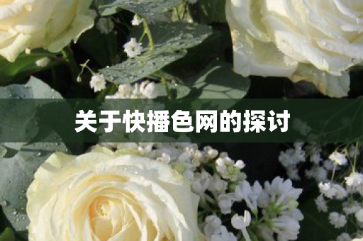 关于快播色网的探讨