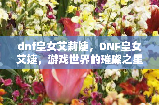 dnf皇女艾莉婕，DNF皇女艾婕，游戏世界的璀璨之星