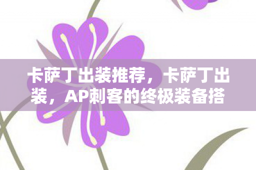 卡萨丁出装推荐，卡萨丁出装，AP刺客的终极装备搭配指南