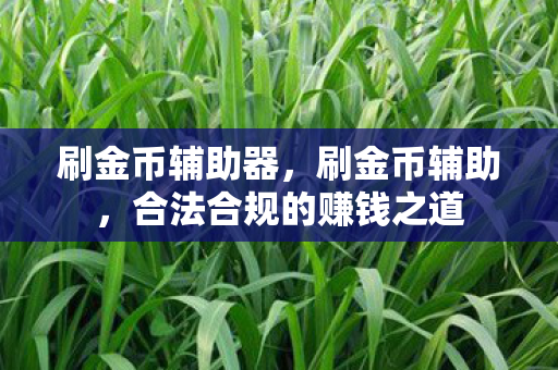 刷金币辅助器，刷金币辅助，合法合规的赚钱之道
