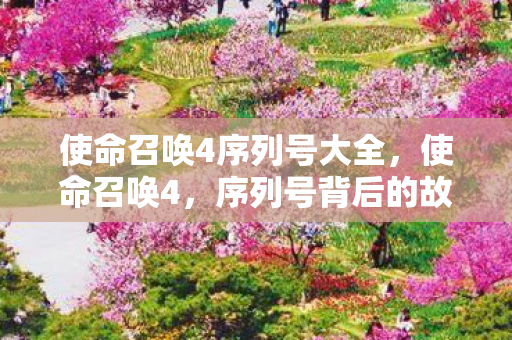 使命召唤4序列号大全，使命召唤4，序列号背后的故事