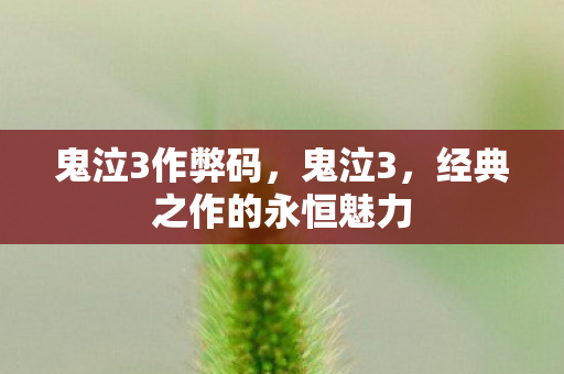 鬼泣3作弊码，鬼泣3，经典之作的永恒魅力