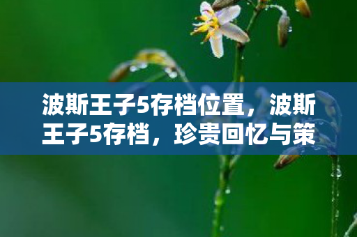 波斯王子5存档位置，波斯王子5存档，珍贵回忆与策略分享