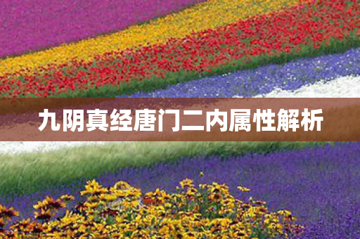 九阴真经唐门二内属性解析