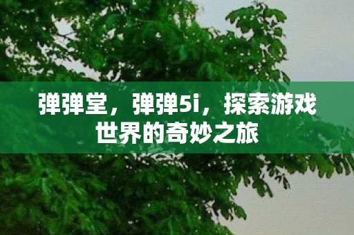 弹弹堂，弹弹5i，探索游戏世界的奇妙之旅