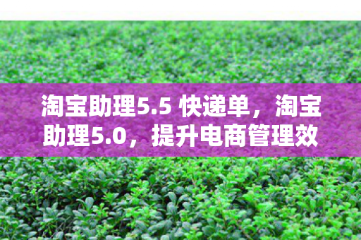 淘宝助理5.5 快递单，淘宝助理5.0，提升电商管理效率的神器
