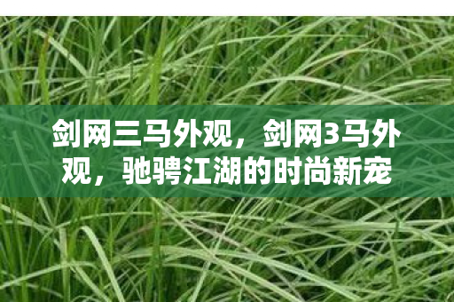 剑网三马外观，剑网3马外观，驰骋江湖的时尚新宠