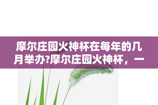 摩尔庄园火神杯在每年的几月举办?摩尔庄园火神杯，一场虚拟世界的竞技盛宴