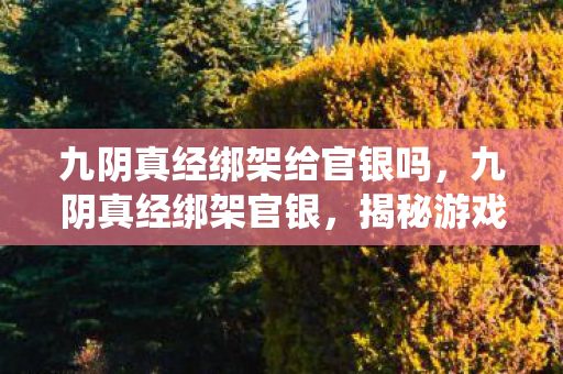 九阴真经绑架给官银吗，九阴真经绑架官银，揭秘游戏内经济系统的暗流涌动