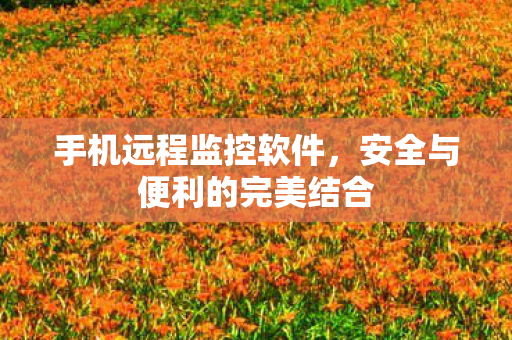 手机远程监控软件，安全与便利的完美结合