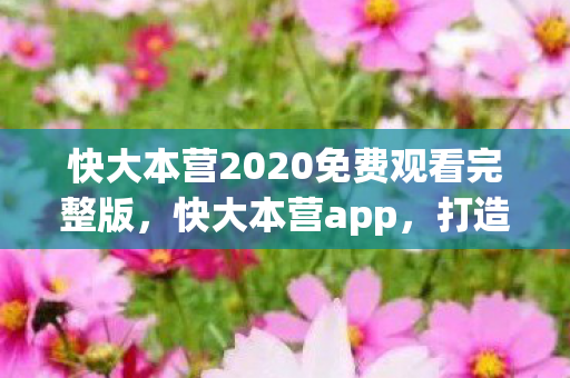 快大本营2020免费观看完整版，快大本营app，打造娱乐新体验，引领数字时代潮流
