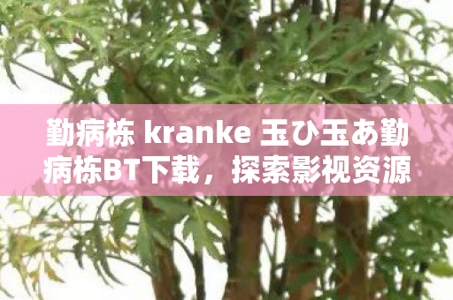 勤病栋 kranke 玉ひ玉あ勤病栋BT下载，探索影视资源的便捷之道