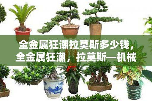 全金属狂潮拉莫斯多少钱，全金属狂潮，拉莫斯—机械战姬的辉煌篇章