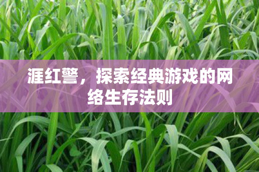涯红警，探索经典游戏的网络生存法则