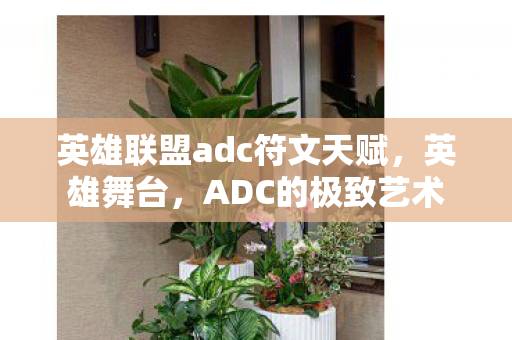 英雄联盟adc符文天赋，英雄舞台，ADC的极致艺术