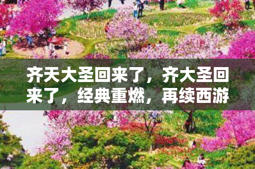 齐天大圣回来了，齐大圣回来了，经典重燃，再续西游传奇