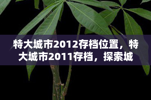 特大城市2012存档位置，特大城市2011存档，探索城市发展的数字记忆