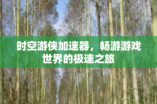 时空游侠加速器，畅游游戏世界的极速之旅