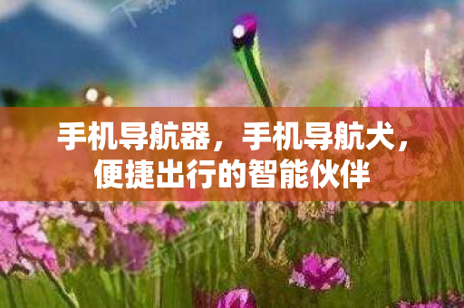 手机导航器，手机导航犬，便捷出行的智能伙伴
