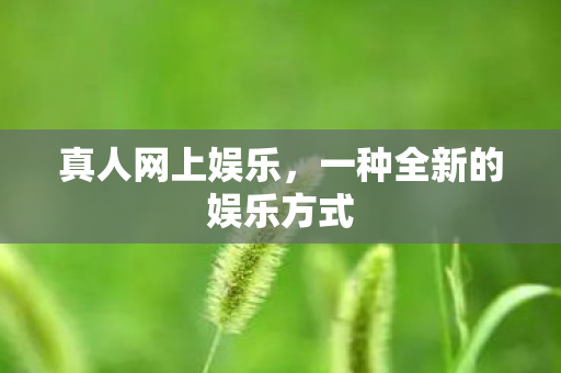 真人网上娱乐,一种全新的娱乐方式 真人网上娱乐,一种全新的娱乐方式