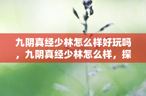 九阴真经少林怎么样好玩吗，九阴真经少林怎么样，探寻武侠世界的禅武精髓