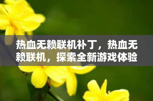 热血无赖联机补丁，热血无赖联机，探索全新游戏体验