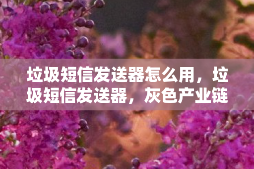 垃圾短信发送器怎么用，垃圾短信发送器，灰色产业链下的隐秘威胁