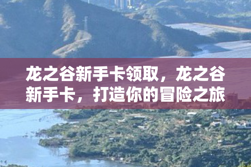 龙之谷新手卡领取，龙之谷新手卡，打造你的冒险之旅