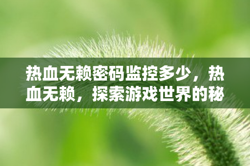 热血无赖密码监控多少，热血无赖，探索游戏世界的秘密与乐趣