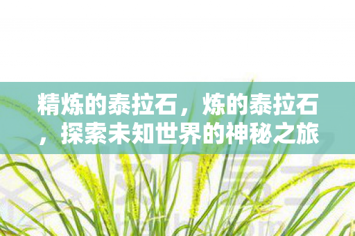 精炼的泰拉石，炼的泰拉石，探索未知世界的神秘之旅