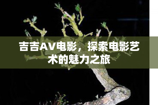 吉吉AV电影,探索电影艺术的魅力之旅 吉吉AV电影,探索电影艺术的魅力之旅