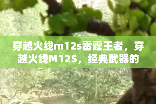 穿越火线m12s雷霆王者，穿越火线M12S，经典武器的传奇故事