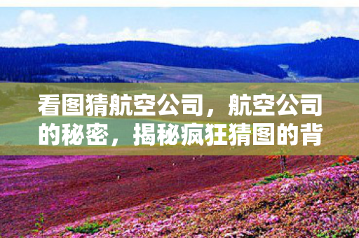 看图猜航空公司，航空公司的秘密，揭秘疯狂猜图的背后
