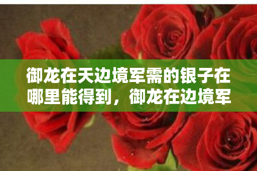 御龙在天边境军需的银子在哪里能得到，御龙在边境军需，揭秘边境军需的奥秘