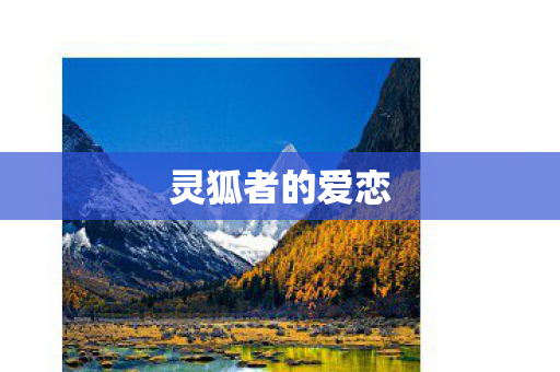 灵狐者的爱恋