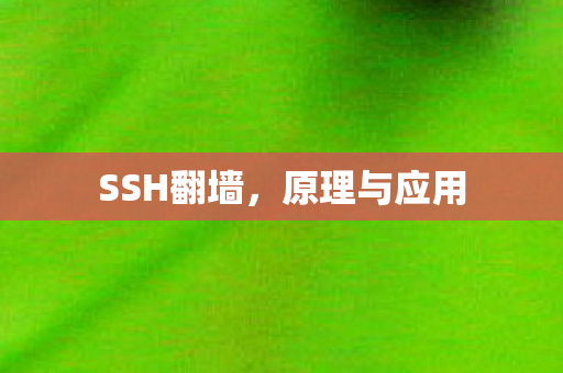 SSH翻墙，原理与应用