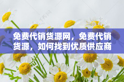 免费代销货源网，免费代销货源，如何找到优质供应商并规避风险