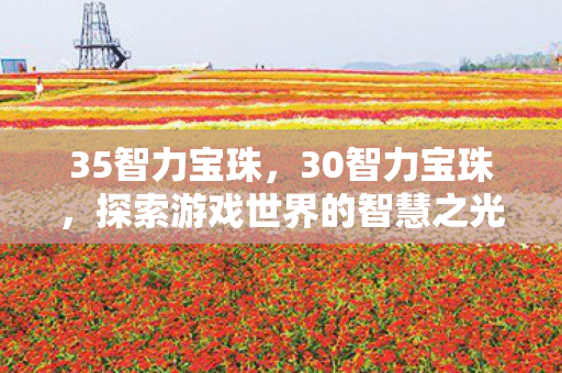 35智力宝珠，30智力宝珠，探索游戏世界的智慧之光