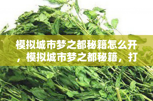 模拟城市梦之都秘籍怎么开，模拟城市梦之都秘籍，打造理想城市的策略与技巧