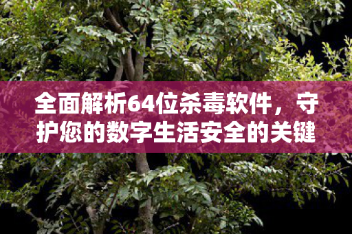 全面解析64位杀毒软件,守护您的数字生活安全的关键 全面解析64位杀毒软件,守护您的数字生活安全的关键