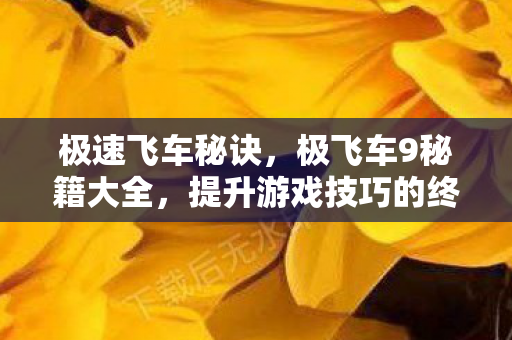 极速飞车秘诀，极飞车9秘籍大全，提升游戏技巧的终极指南