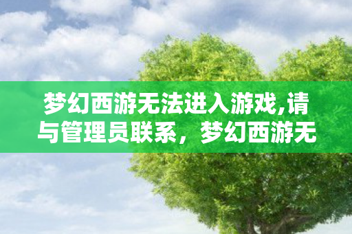 梦幻西游无法进入游戏,请与管理员联系，梦幻西游无法进入游戏，深度解析与解决方案