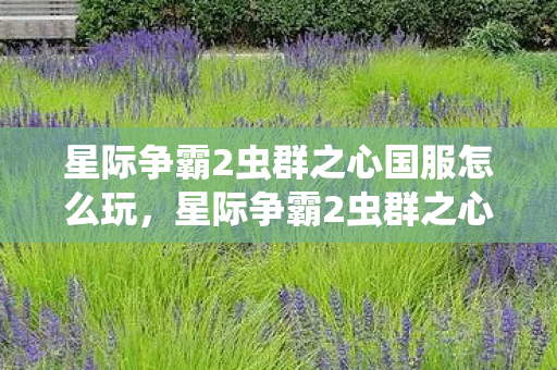 星际争霸2虫群之心国服怎么玩，星际争霸2虫群之心国服，深度解析虫群之心的魅力与影响